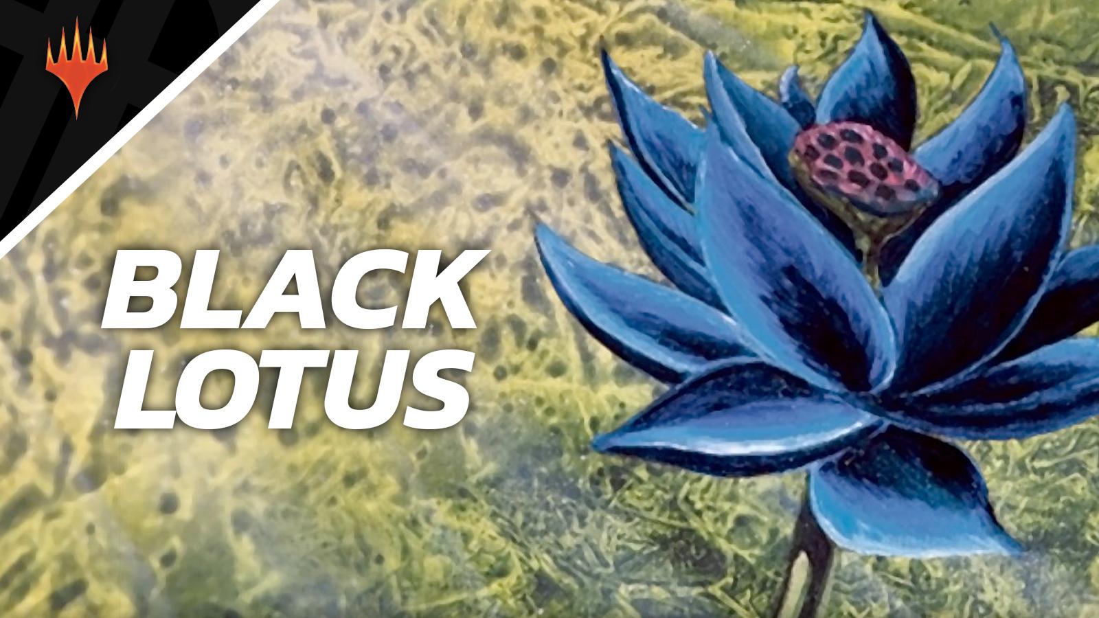 Magic the Gathering Black Lotus